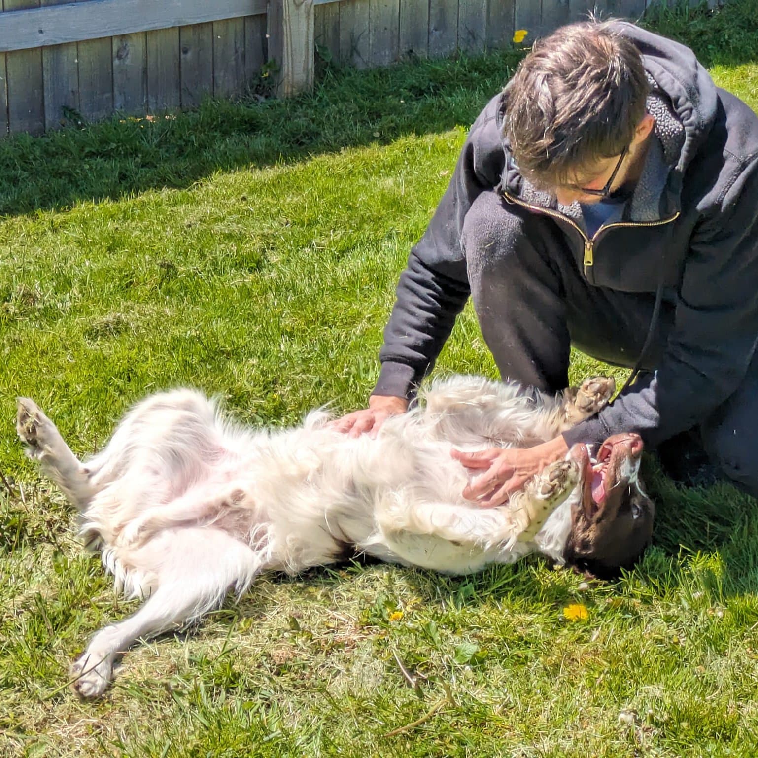 Brian giving belly rubs